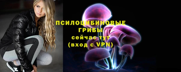 стаф Михайлов